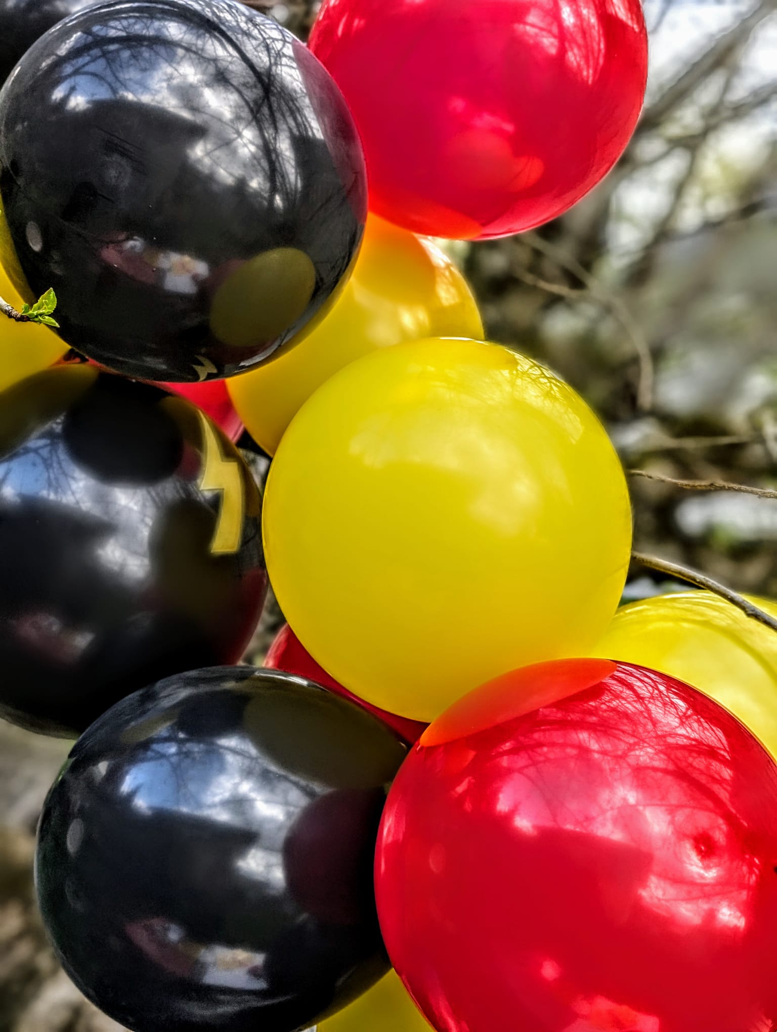Party decorations